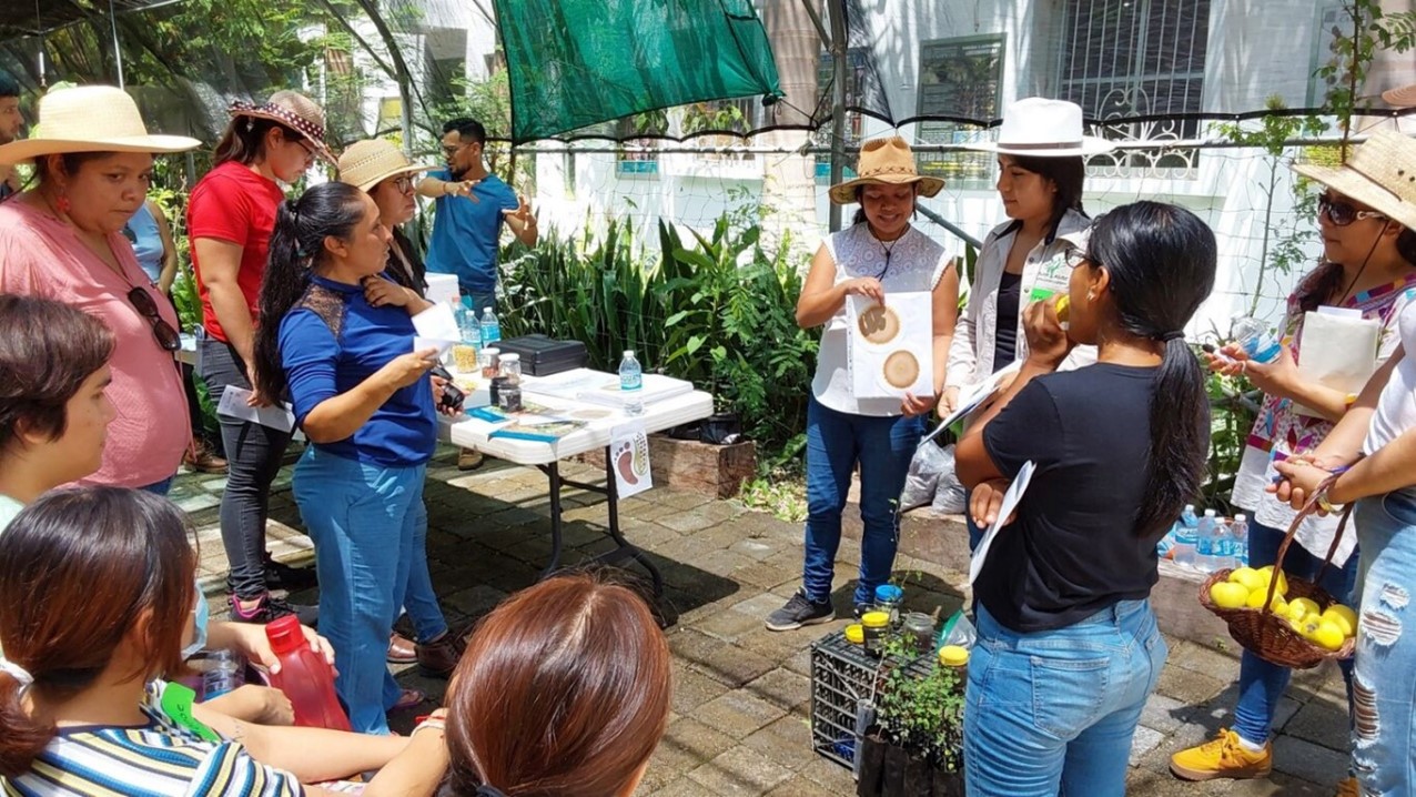 Realizan La Segunda Edici N Del Colaboratorio Red De Suelos Agua Y La