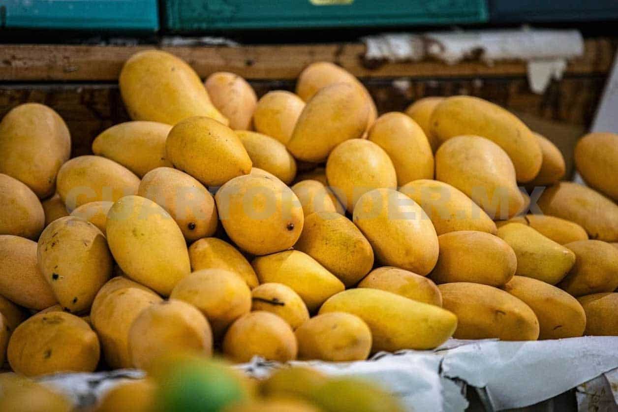 Capacitan a productores de mango Ataulfo
